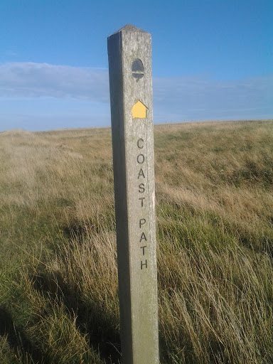  Wooden Signpost 