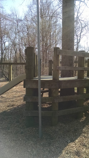 Tree Slide Playground