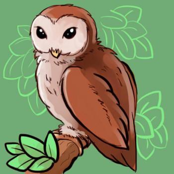 Learn How to Draw Owls — приложение на Android