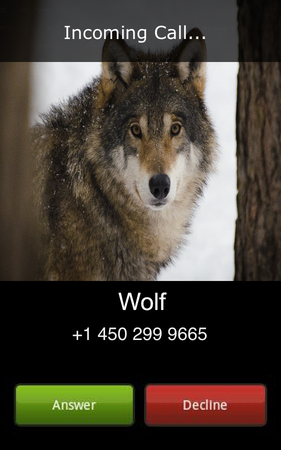 Wolf Calling — приложение на Android