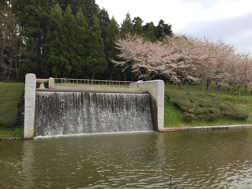 東北歴史博物館の滝