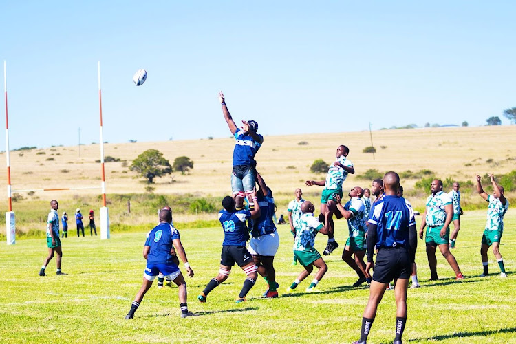The Moko Sports Foundation will host the third edition of its popular sporting festival where rural rugby, cricket and horseracing development take centre stage near Qonce