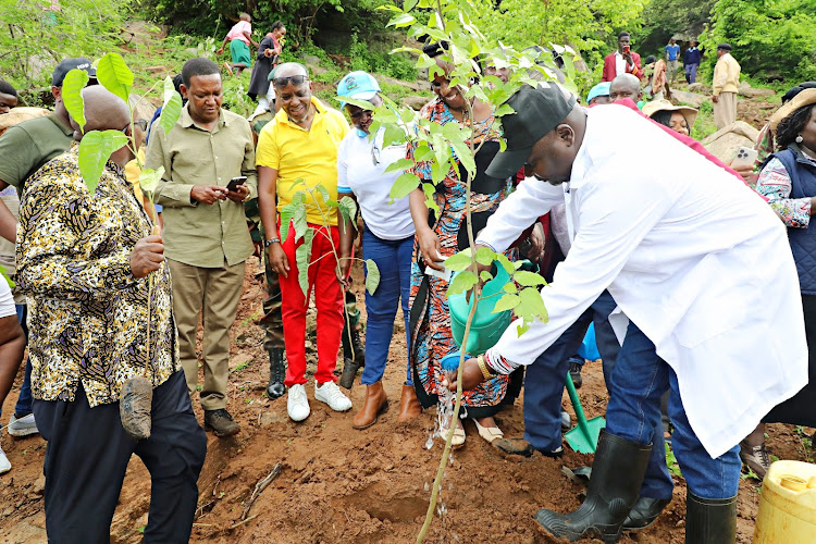 Kitui deputy governor Augustine Kanani plants a tree at Mbitini hills during a tree planting event president over by CS Alfred Mutua in Kitui County last year.