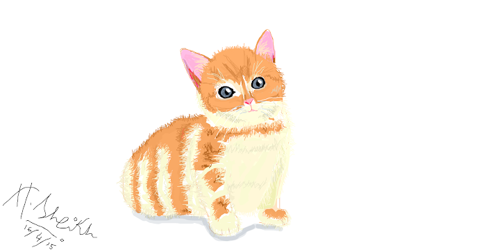 Kitten for			Shelly ʕ•ᴥ•ʔ