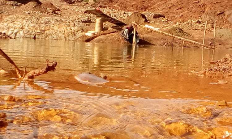 A gold prospector washing ore at Macalder mines in Migori.