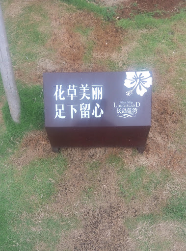 爱心泛滥