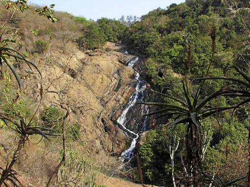 In Phophonyane, there are several short walks in the region of the eponymous falls.
