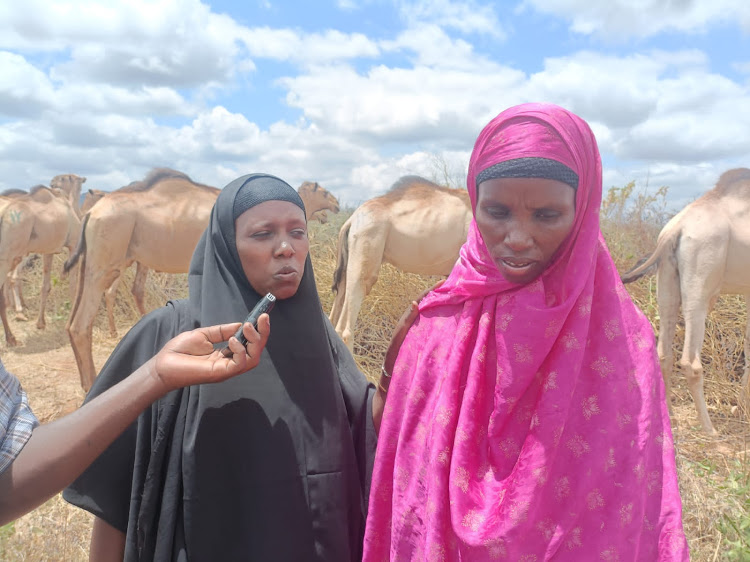 Women camel herder and chair Watiti united women group Fatuma Hassan during camel distribution on Tuesday at Yaballo Moyale.