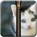 Cat Zipper Screen Lock Apk