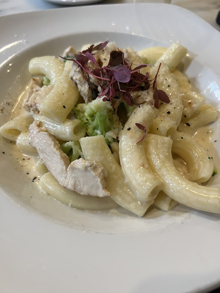 Chicken broccoli alfredo