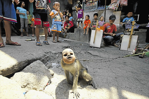 SERFS' SLAVE: A performing monkey in the Muara Baru slum in Jakarta, Indonesia. Residents face eviction because they live on a flood plain.