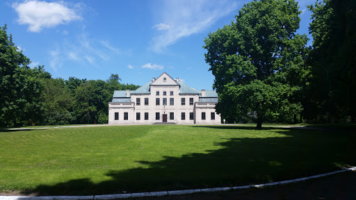 Palace in Srebrzyszcze - Pałac