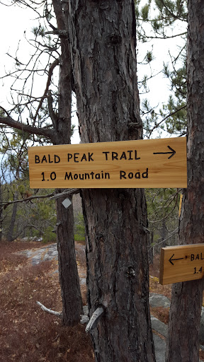Bald Peak Trail Peak