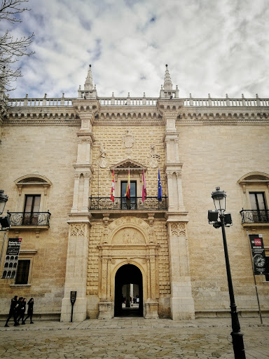 Palacio de Santa Cruz, Vallado
