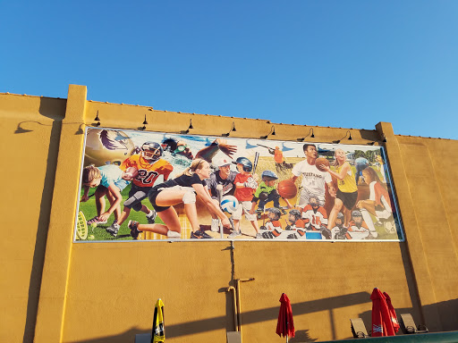Sports Mural
