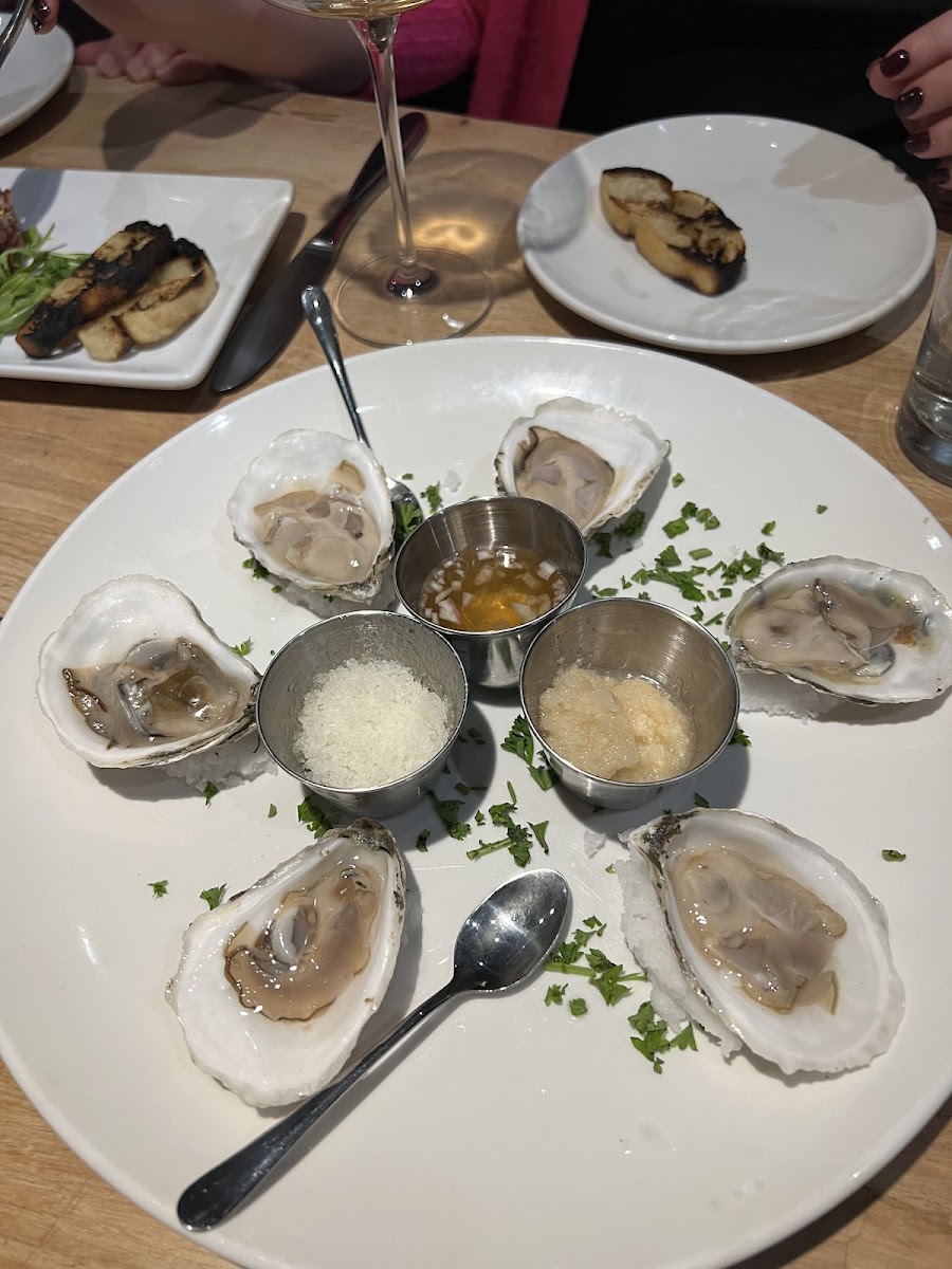 Oysters