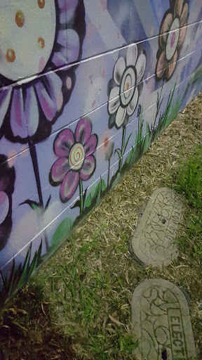 Bald Hills Underpass Murals