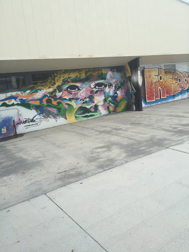 Skatepark Mural 