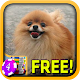 Download 3D Pomeranian Slots For PC Windows and Mac 1.5