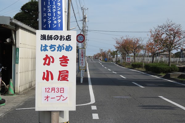 カキ小屋はちがめオープンカンバン