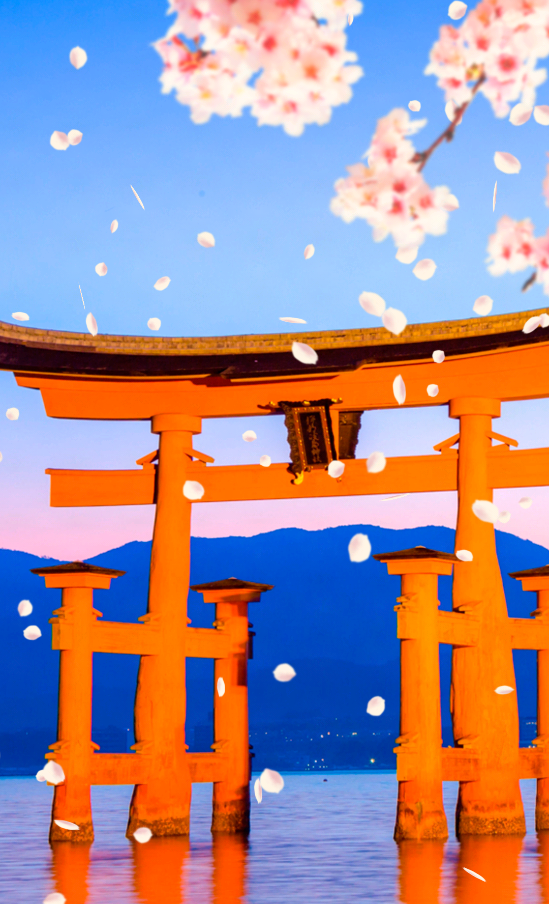 Android application 【Itsukushima Shrine Sakura】 screenshort