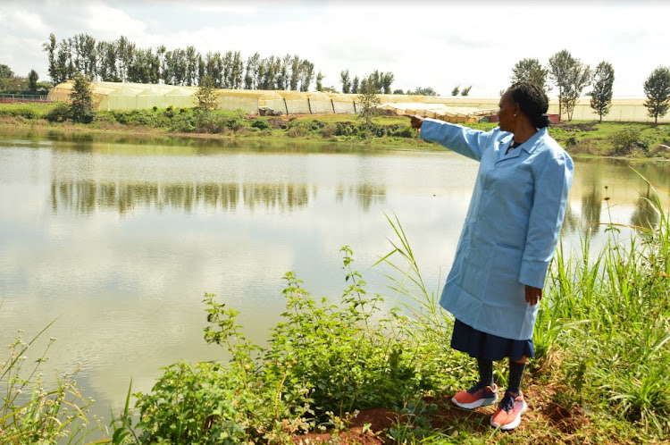 Mrs Nyachae at one of the at the Simbi Roses water reservoir. Apart from supplying the farm with water, the dam stocks fish which are distributed to the 400 strong workforce to improve their dietary needs.