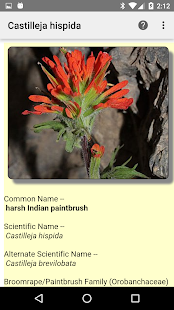 How to download Montana Wildflowers patch 3.1 apk for bluestacks
