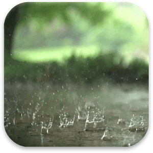 Download Real Rain Live Wallpaper For PC Windows and Mac