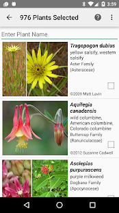 How to get Kentucky Wildflowers 1.2 apk for bluestacks