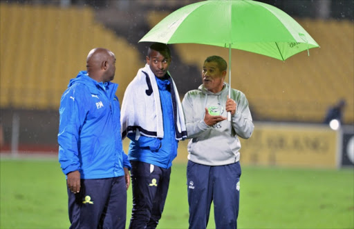 Mamelodi Sundowns coach Pitso Mosimane and Platinum Stars coach Cavin Johnson. Picture Credit: Gallo Images