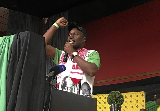 The provincial chairperson of the ANC Youth League in Mpumalanga, Tim Mashele, has urged his members to elect young people who won't sleep during crucial debates in parliament.