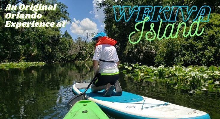 Dive Into an Original Orlando Experience at Wekiva Island