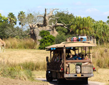 Disney's Animal Kingdom