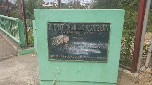 Placa Puente Bluhdorn