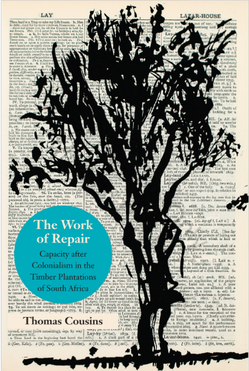 The Work of Repair by Thomas Cousins.