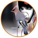 Colourful Birds Photo Frame Apk