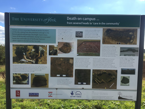 Deaths On Campus