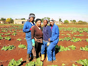 Isabella Twala, Esther Shirinda, Mbali Rakgalakane and Tseleng Motshello from the Greater Soshanguve Agricultural.