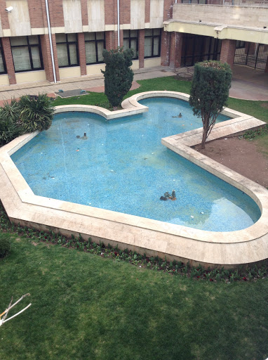 Fountain In Anadolu University