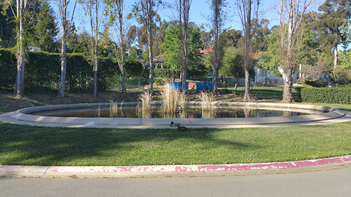 Duck Pond At Mills College