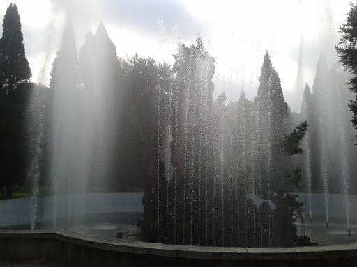 邮科院的喷泉