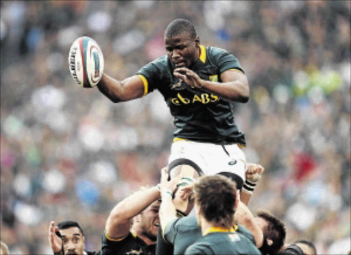 VERSATILE: Bok flank Teboho Mohoje may fill in at lock photo: Steve Haag/Gallo Images