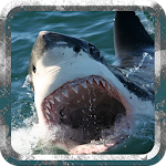 Angry Shark - Wild Attack Apk