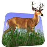 Deer Hunter 3D Apk