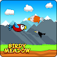 Download Birdy Meadow For PC Windows and Mac 1.0.0
