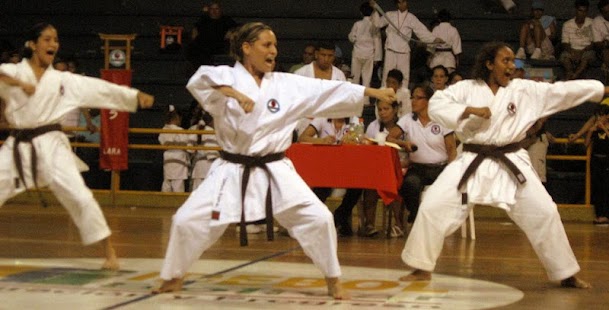 How to install Entrenamiento de Karate patch 1.10 apk for bluestacks