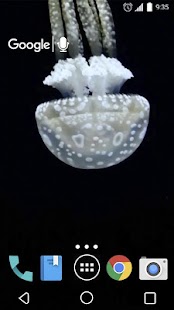 How to download Playful Jellyfish Live WP lastet apk for android