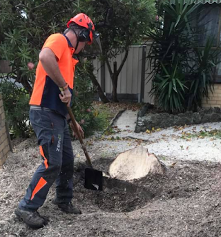 stump removal melbourne