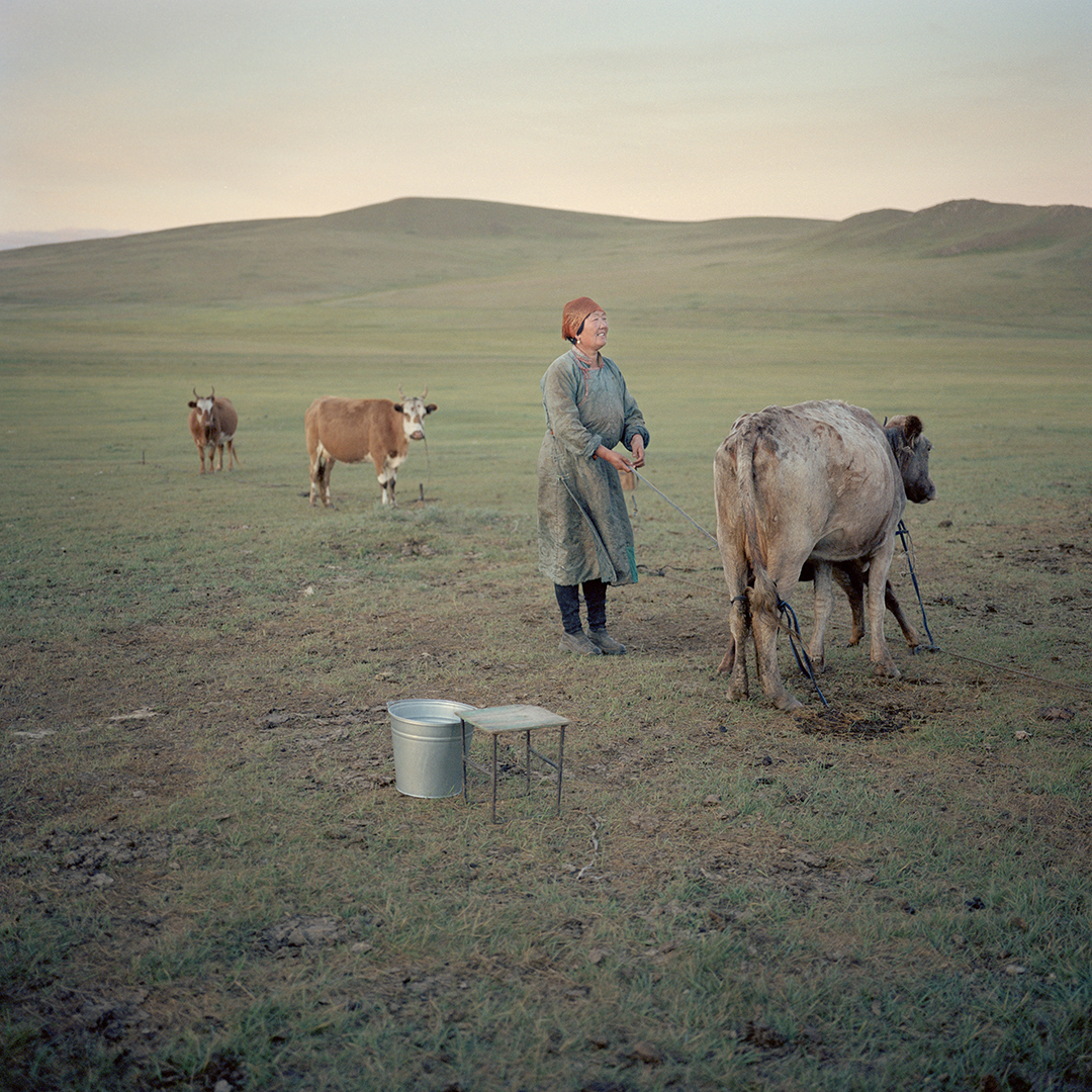 The shifting ways of life in Mongolia