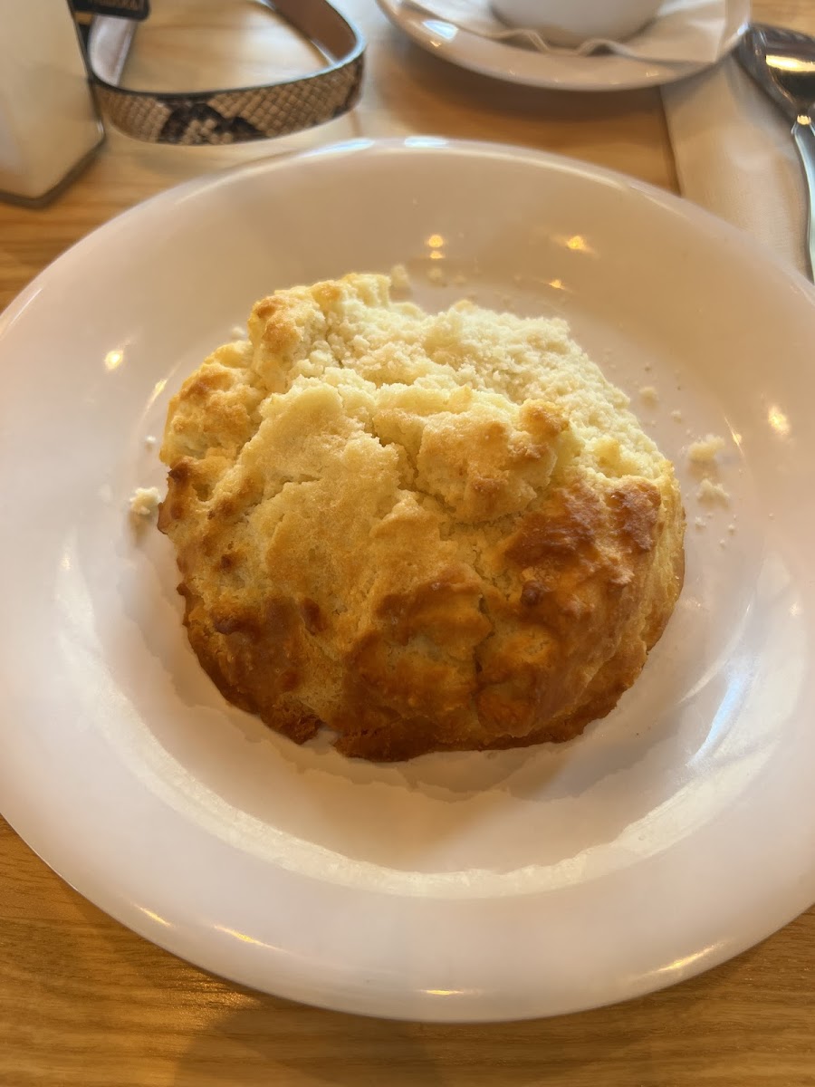 Gluten-Free at Vicious Biscuit